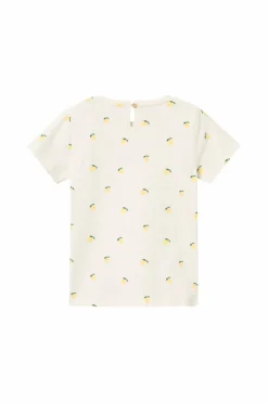 Name it Top nmfDia SS Top