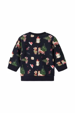 Name it baby Sweatshirt Nbnrenu LS Sweat Bru