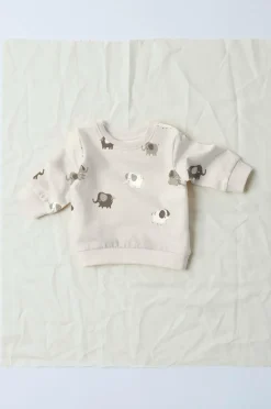 Name it baby Sweatshirt nbnoHapi LS Sweat Bru