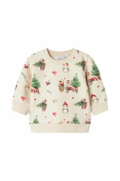 Name it baby Sweatshirt Nbnrenu LS Sweat Bru