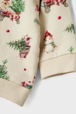 Name it baby Sweatshirt Nbnrenu LS Sweat Bru