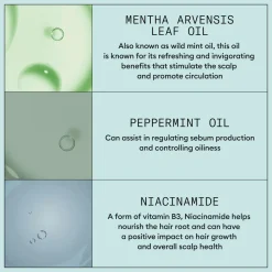 Nioxin Scalp RECOVERY™ Kit