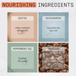 Nioxin System 4 Trial Kit