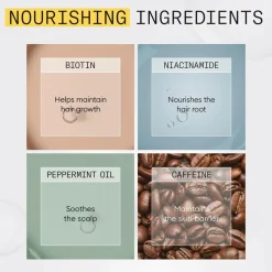 Nioxin System 1 Trial Kit