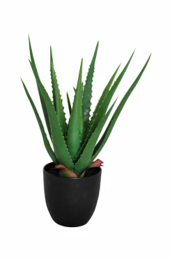 Nordic Furniture Group Kunstplante Viridis Aloe Vera