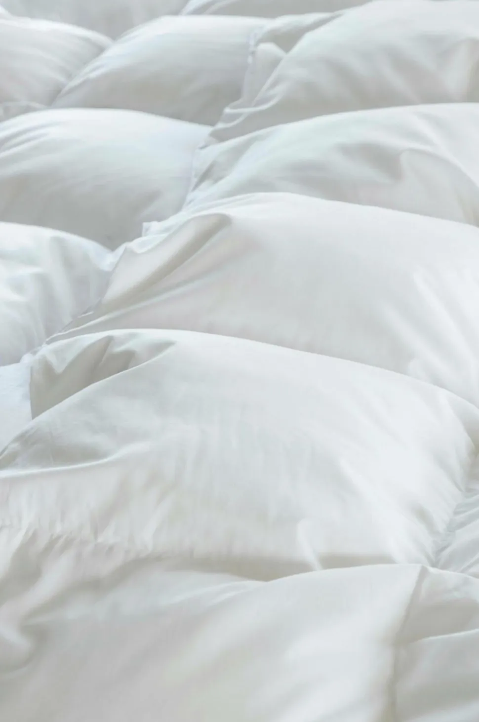 Norsk Dun Dyne 100 % andedun Medium