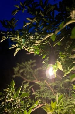 PR Home Rechargeable Light Bulb