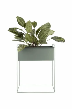 Present Time Plantekrukkesæt Essence