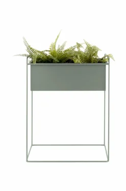 Present Time Plantekrukkesæt Essence