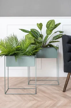 Present Time Plantekrukkesæt Essence