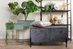 Present Time Plantekrukkesæt Essence