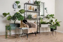 Present Time Plantekrukkesæt Essence