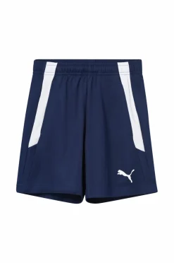 Puma Træningsshorts Teamliga Training Shorts 2 Jr