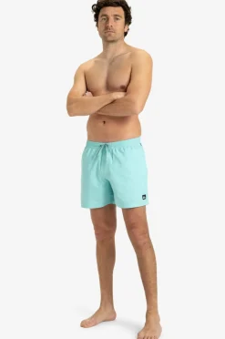 Quiksilver Badebukser Everyday Solid Volley 15