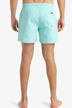 Quiksilver Badebukser Everyday Solid Volley 15