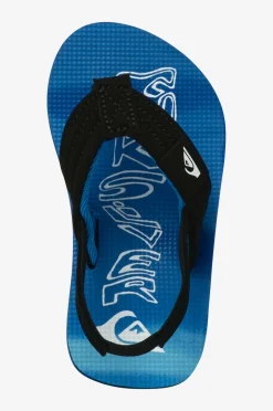 Quiksilver Flip flops Molokai Layback Toddler