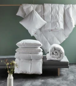 Ringsted Dun Dyne Svinaherden Ekstra Kølig