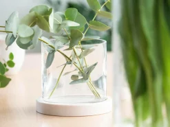 Rotor design Flex Low