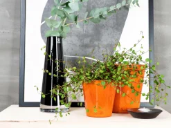 Rotor design Glasvase Etage