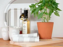 Rotor design Keramikpotte