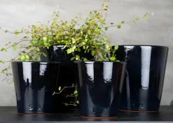 Rotor design Potte lille