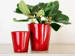 Rotor design Potte lille