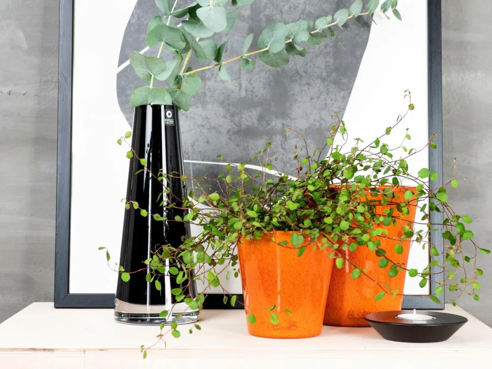 Rotor design Stor krukke