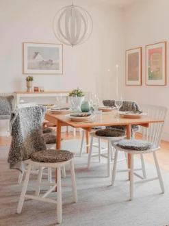 Skinnwille Fåreskindshynde firkantet Curly