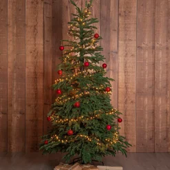 Star Trading Juletræ Edane 210 cm