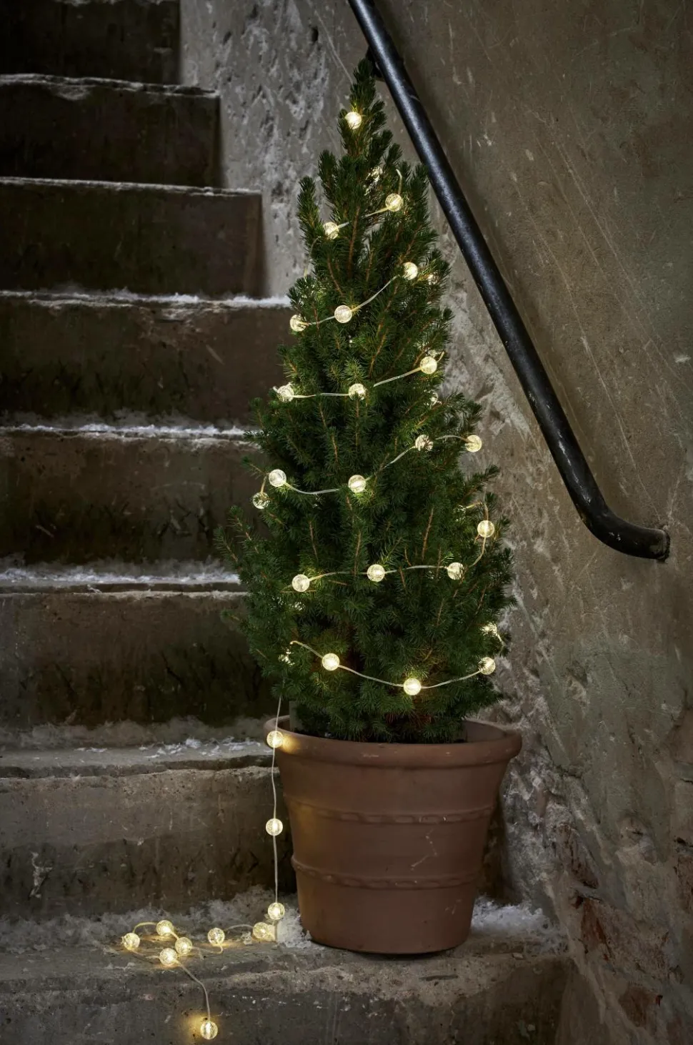 Star Trading Lyskæde Berry