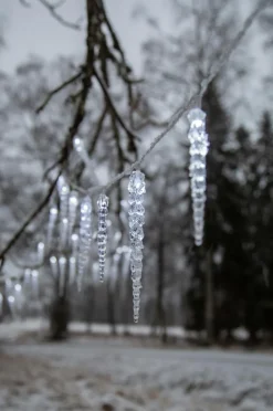 Star Trading Lyskæde med istapper Gelido