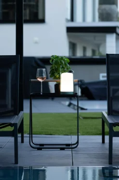 Venture Home Bordlampe Fern