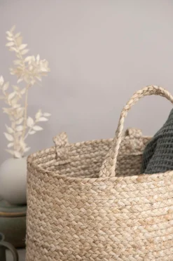 Venture Home Kurv Bhopal