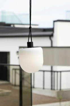 Venture Home Pendellampe Colie