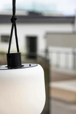 Venture Home Pendellampe Colie