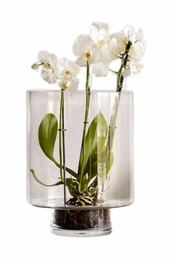 Zelected by Houze Vase Optic