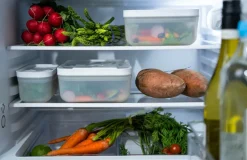 ZWILLING Vakuumbox Fresh & Save frysbox