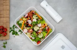 ZWILLING Vakuumbox Fresh & Save frysbox